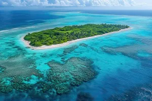 Paradise Found!
