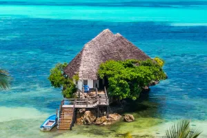 Spice & Shore Escape