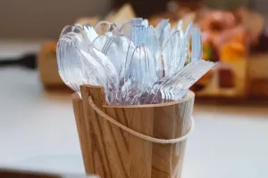 Vivir Sin Plástico