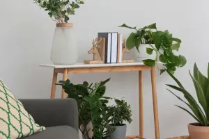 Load failed