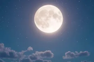 Load failed