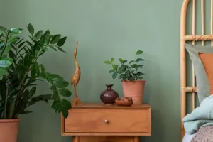 Load failed