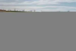 Load failed