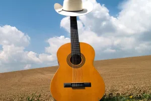 Load failed