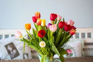 Farben & Formen in Blumen