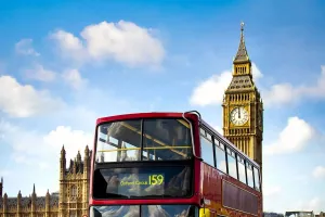 Mastering Local Transport