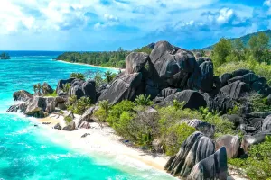 One Week in Paradise