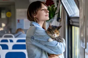 Happy Travels With Pets