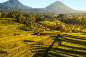 Bali Luxe Escapes