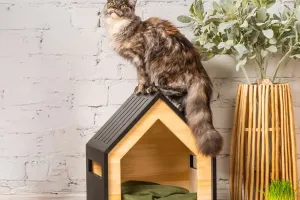 Picking the Perfect Bed