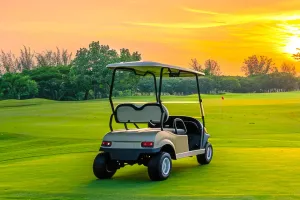 Patience on the Green