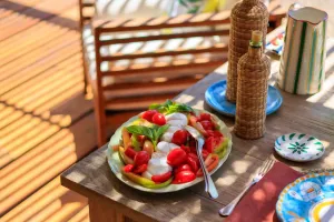 Dieta para el Viaje