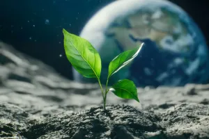 Tanaman di Luar Angkasa