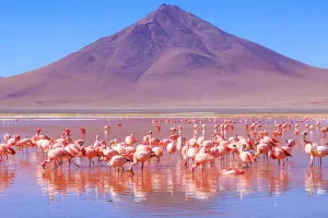 Keajaiban Bolivia