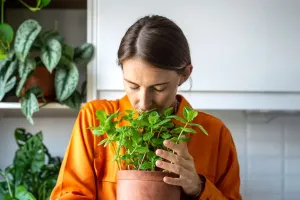 Cultivare Ierburi în Casă