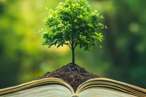 Рост через книги