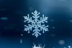 Load failed
