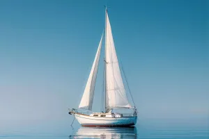 世界の海洋の日