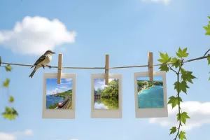 芸術的な写真編集!