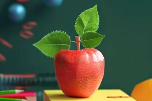 小学校の識字を教える