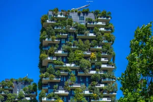 都市での緑の味方