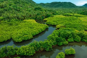 Philippines' Secret Shores