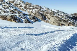 Winter Snow Secrets