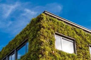 Green Walls and Design