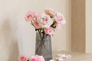 La douceur du rose