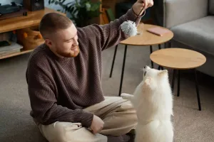 Pet Play Moments