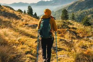 Nachhaltigkeit und schutz