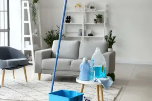 Чистота без ошибок