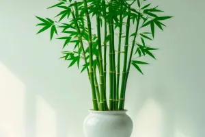 O poder do bambu