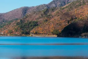 Acampamento na floresta