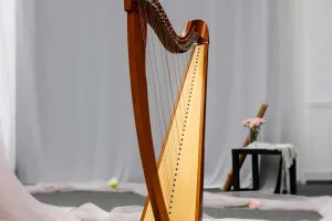 Арфа — музыка небес