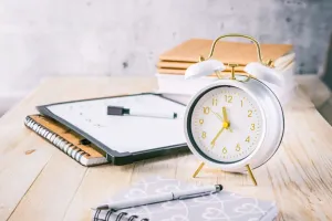 Productivitate maximă