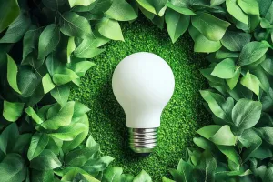 Casa verde, vida leve