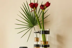 Зеленая красота