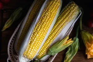 Вкус и вдохновение