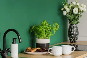 Сила зелёного дома