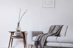 The No-Income Mortgage