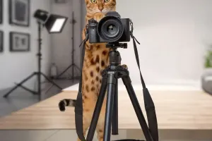 Fotos de Mascotas Únicas