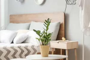 Cây Xanh Giúp Ngủ Ngon