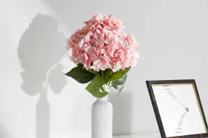 Les fleurs de hortensia