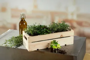 Le bonheur sur un balcon