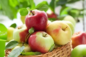 Trái Cây Giàu Chất Xơ