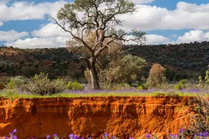 Guia final de Broken Hill