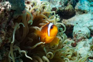 Piscinas misteriosas