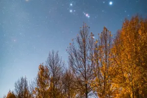 Orion revela mistérios!