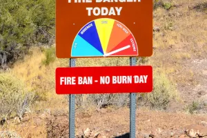 Penyebab Hutan Kebakaran